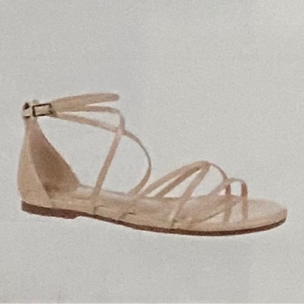 Woman’s Circus by Sam Edelman Bonita Nude Sandals SZ 9 NWT